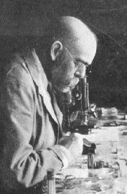 Dr Robert Koch